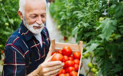 6 Health Benefits of Gardening for Seniors