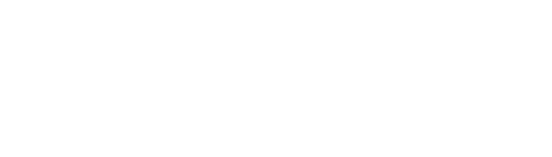 Hidden Springs White Logo