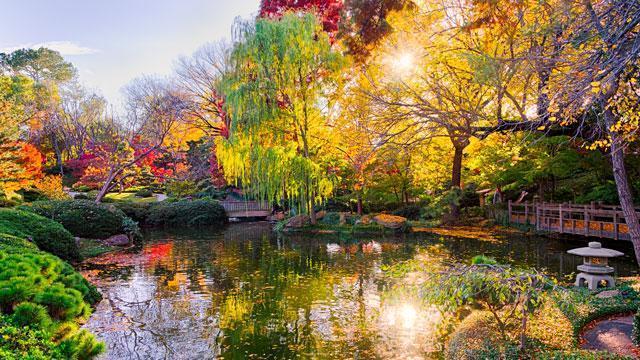 A garden in Greater McKinney Texas.